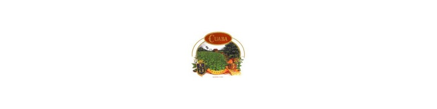 Buy Cigars from Cuba Cuaba at cigars-online.nl