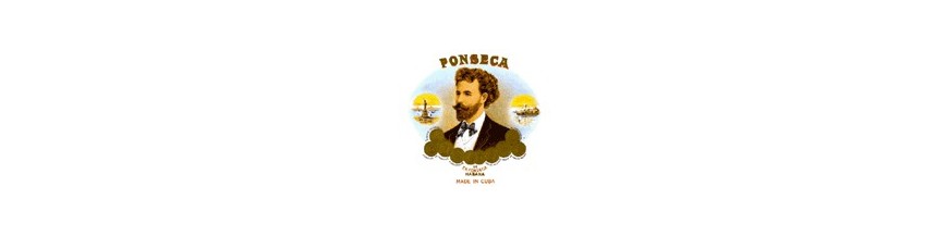 Buy Cigars from Cuba Fonseca at cigars-online.nl