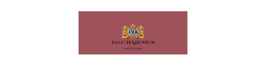 Buy Cigars from Dutch Hajenius at cigars-online.nl