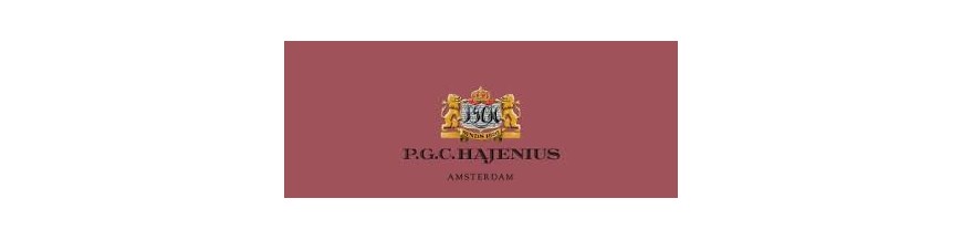 Buy Cigars from Dutch Hajenius at cigars-online.nl