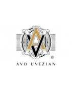 AVO