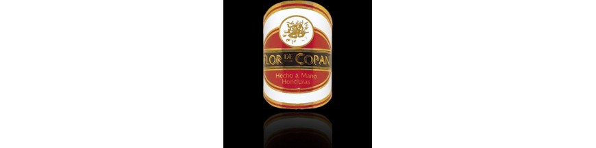 Buy Cigars from Honduras Flor de Copan at cigars-online.nl