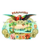 Paradiso