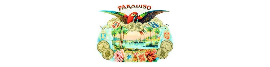 Buy Cigars from Nicaragua Paradiso at cigars-online.nl