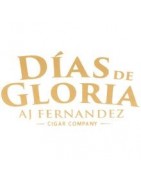 Villa Gonzalez