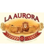 La Aurora